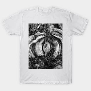Shapes in wood. T-Shirt